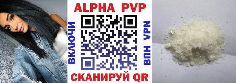 Альфа ПВП СК КРИС  Грозный 