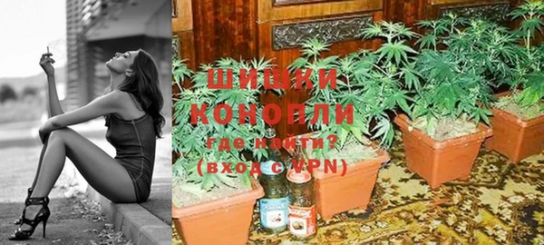 PSILOCYBIN Лагань