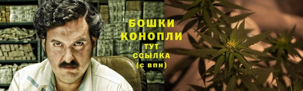 PSILOCYBIN Лагань