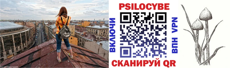 блэк спрут маркетплейс Грозный Галлюциногенные грибы Psilocybe